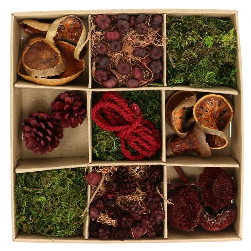 Floristik24 Eksoottinen askartelusarja