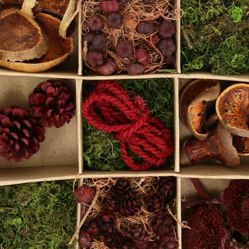 Floristik24 Eksoottinen askartelusarja