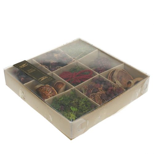 Floristik24 Eksoottinen askartelusarja