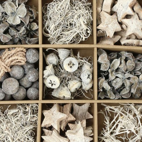 Floristik24 Eksoottinen seos pestään valkoisena