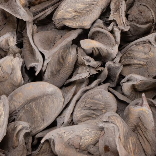 kohteita Potpuri-pöytäkoriste pähkinöillä luonnollisen kesätunnelman luomiseksi