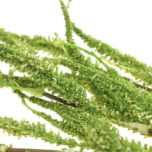 kohteita Amaranth Green Cascade Foxtail tekokasvi vihreä 95cm