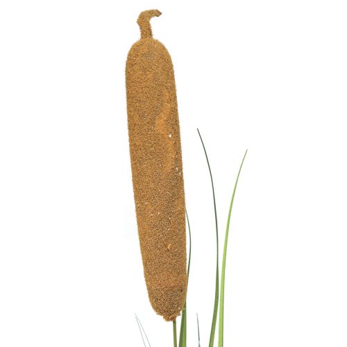 kohteita Keinotekoiset kasvit, kissatekoinen, ruokokoristeet 92cm