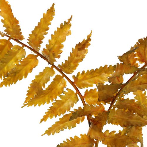 kohteita Keinotekoinen saniainen syysvärit 33cm 12 kpl