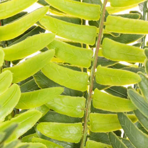 Keinotekoinen saniaisen oksa, keinotekoinen vihreä koristekasvi, 45cm | Floristik24.fi
