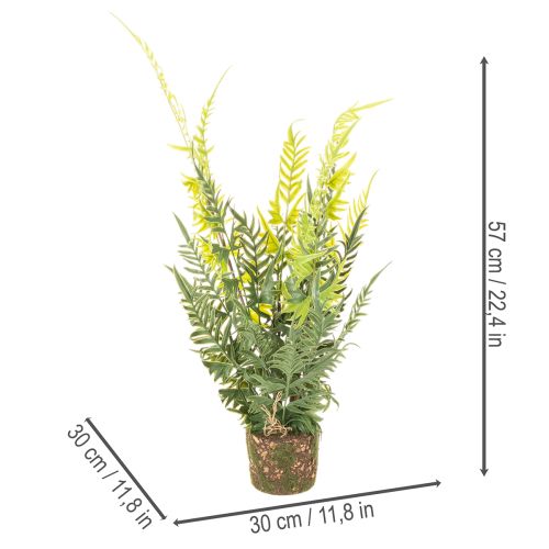 Keinotekoinen saniaiskasvi juuripaakkuineen kodin ja toimiston sisustukseen, 57 cm | Floristik24.fi