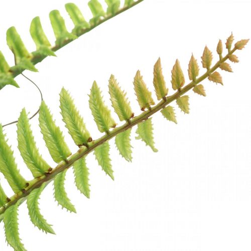 Floristik24 Keinotekoinen saniainen palloilla Vihreä Keinotekoinen saniainen Deco H42cm