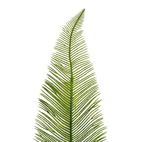 Floristik24 Saniainen lehdet vihreät 59cm 6kpl