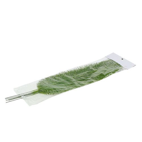 Floristik24 Saniainen lehdet vihreät 59cm 6kpl