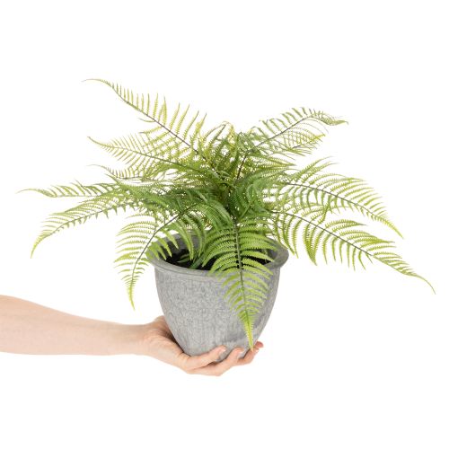 Keinotekoinen saniainen ruukussa olohuoneeseen ja toimistoon, 35 cm | Floristik24.fi