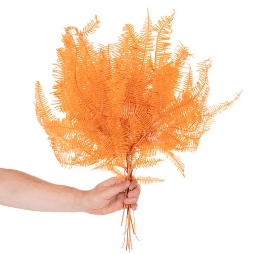 Saniaisen oksa, säilötty saniainen, kuivattu koriste asetelmiin, 60 cm, 10 kpl | Floristik24.fi