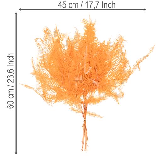 Saniaisen oksa, säilötty saniainen, kuivattu koriste asetelmiin, 60 cm, 10 kpl | Floristik24.fi