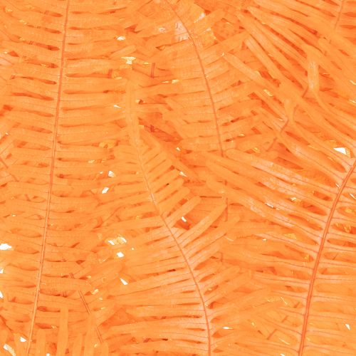 Saniaisen oksa, säilötty saniainen, kuivattu koriste asetelmiin, 60 cm, 10 kpl | Floristik24.fi