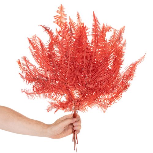 Saniaiset, kuivatut, säilötyt kukat, syyskoristeet, 60 cm, 10 kpl | Floristik24.fi