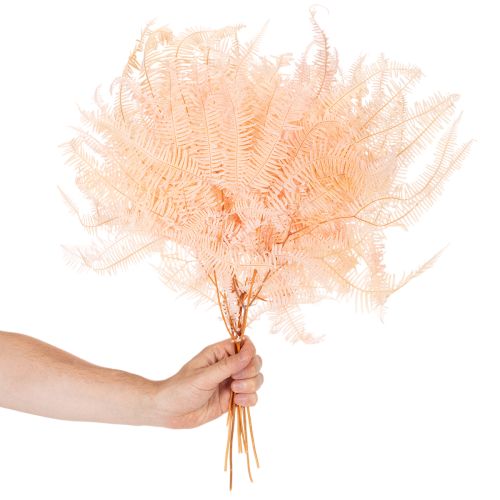 Kuivattuja saniaisia, saniaisten koriste maljakoihin, 60 cm, 10 kpl | Floristik24.fi