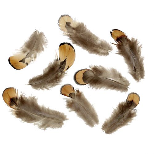 Floristik24 Höyhensekoitus luonnollinen 12g