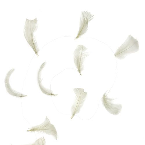 Floristik24 Jousi lanka kermassa 10m