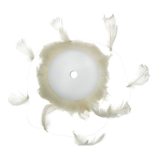 Floristik24 Jousi lanka kermassa 10m