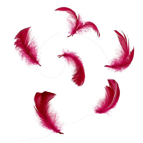 Floristik24 Jousi vaijerilla Erika 10m