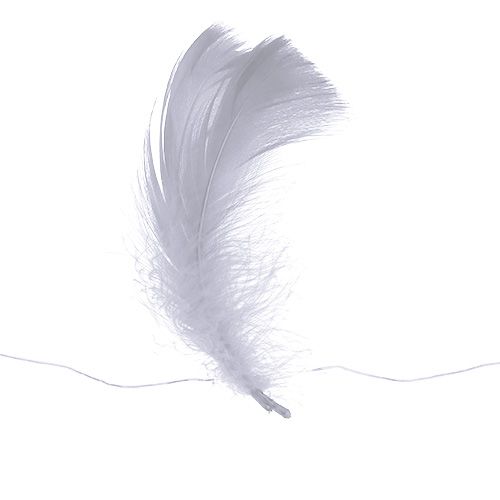 Floristik24 Jousi vaijerissa Valkoinen 10m