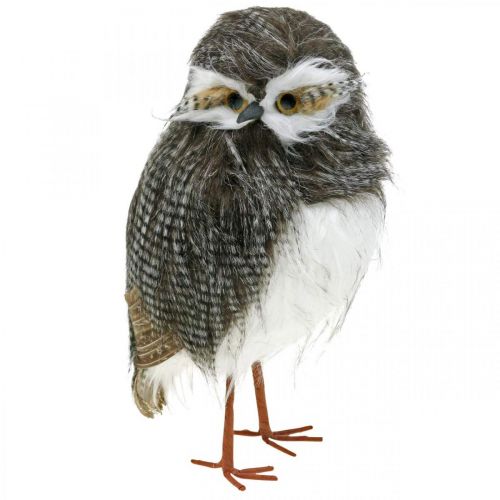 Puupöllö, Talvi Koriste, Koristeellinen pöllö, Syksy H41cm