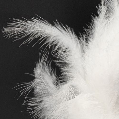 kohteita Höyhenseppele, ihanteellinen hääkoristeluun ja tunnelmalliseen pääsiäiskoristeeseen, 20 cm