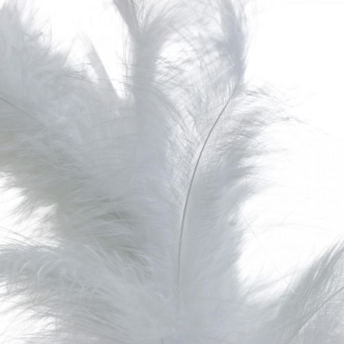 kohteita Höyhenseppele valkoinen Ø20cm Deco Seppele Spring Real Feathers 3kpl