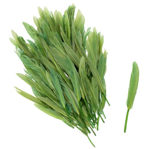 Koristeelliset höyhenet tyylikkääseen tunnelmaan ja näyttäviin koristeisiin 10 cm