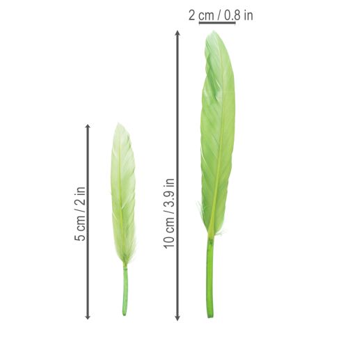 kohteita Koristeelliset höyhenet tyylikkääseen tunnelmaan ja näyttäviin koristeisiin 10 cm