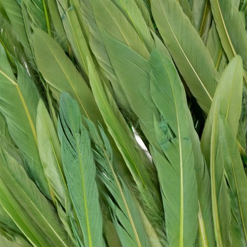 kohteita Koristeelliset höyhenet tyylikkääseen tunnelmaan ja näyttäviin koristeisiin 10 cm