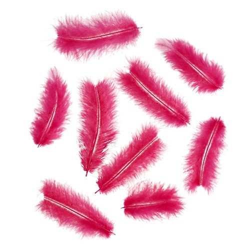 Lyhyet höyhenet 30g fuksia