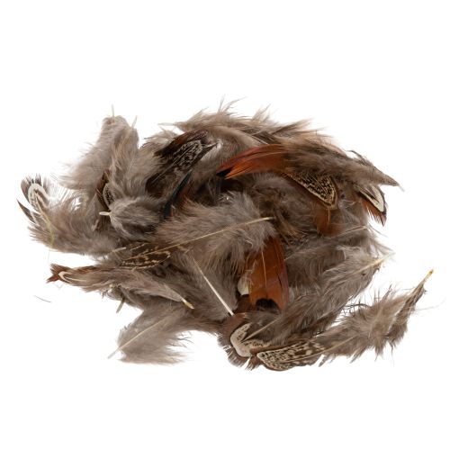 Floristik24 Höyheniä monipuolisiin askarteluideoihin, luovaan suunnitteluun ja koristeluun, 5 cm, 3 g