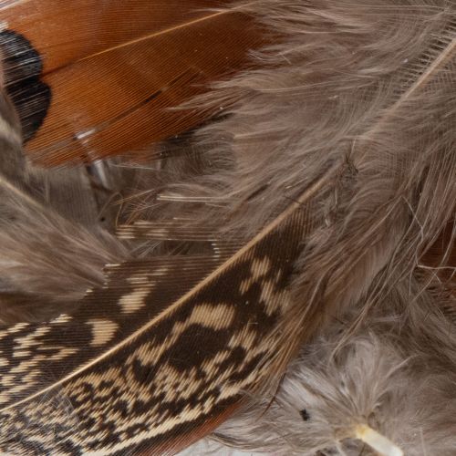 kohteita Höyheniä monipuolisiin askarteluideoihin, luovaan suunnitteluun ja koristeluun, 5 cm, 3 g