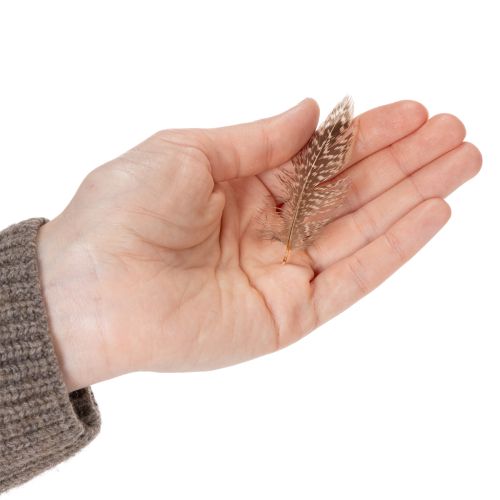 kohteita Höyheniä monipuolisiin askarteluideoihin, luovaan suunnitteluun ja koristeluun, 5 cm, 3 g