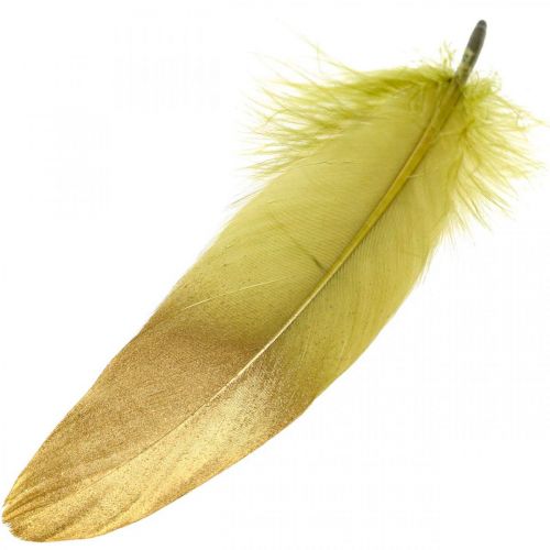 Floristik24 Höyhenet askarteluihin, koristehöyhenet, vihreä-kulta, L16-20cm, 24 kpl