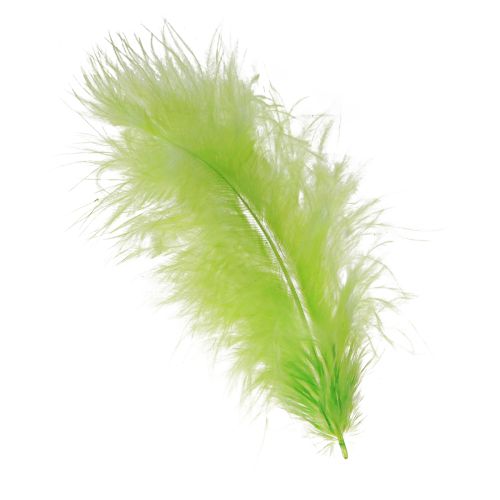 kohteita Höyhenet askarteluun vaaleanvihreällä höyhenkoristeella 5-10cm 20g