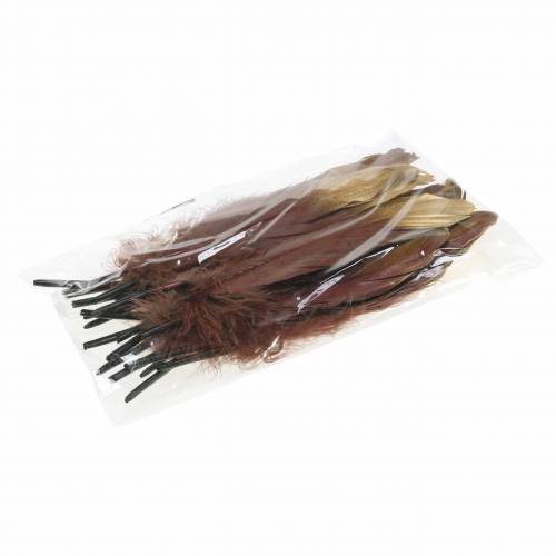 Floristik24 Höyhenet viininpunaiset, kulta 18-23cm 24 kpl