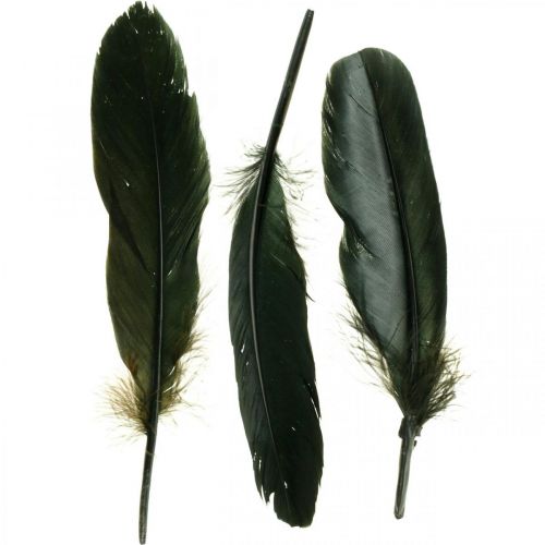 Floristik24 Deco höyhenet mustat linnun höyhenet askarteluun 14-17cm 20g