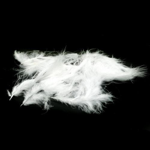 Feathers White Aidot lintujen höyhenet pääsiäiskoristeiden koristeluun 20g