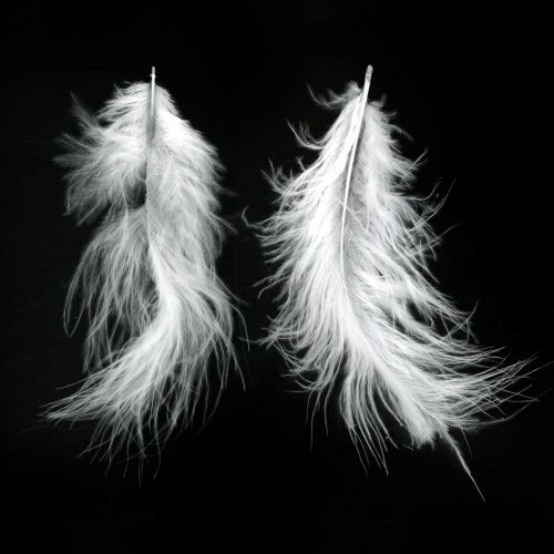 Feathers White Aidot lintujen höyhenet pääsiäiskoristeiden koristeluun 20g