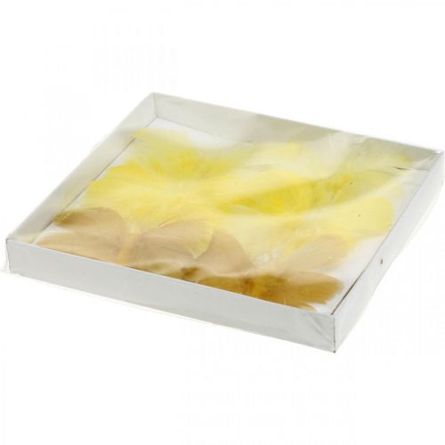 Floristik24 Deco-perhosia langalla, jousikoriste, kevätperhosia keltaisen sävyissä 6kpl