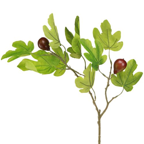 kohteita Viikunanoksa, koristeoksa, koristehedelmät, viikunakoristeet, 64 cm, 2 kpl