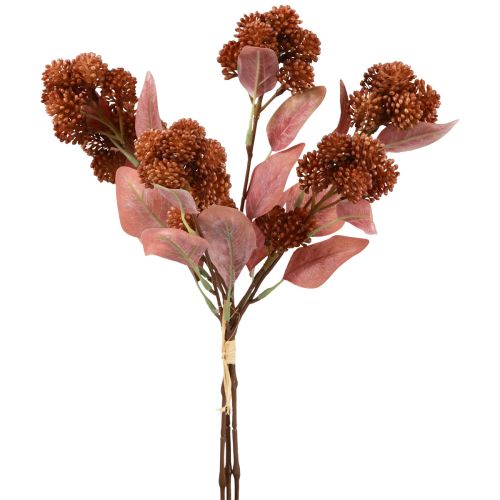 Floristik24 Fat Hen Red Sedum Stonecrop tekokukat 41cm 3kpl