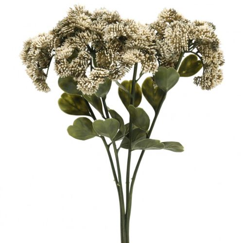Stonecrop kerma sedum stonecrop tekokukat 48cm 4kpl