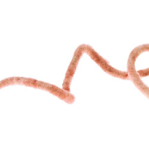 Floristik24 Huopanauhavillalanka langalla Rauris lanka pinkki 20m