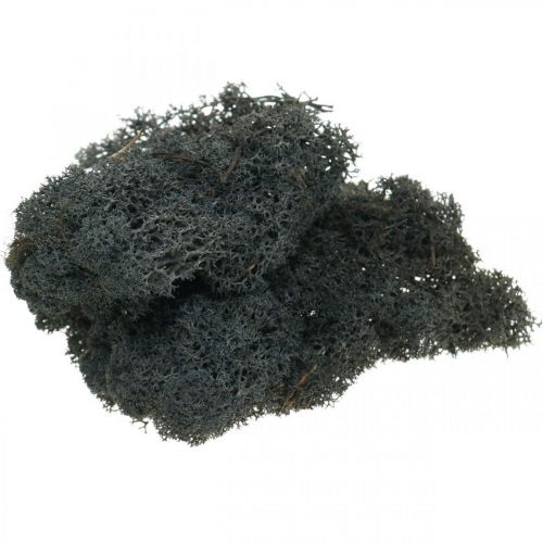 Decorative Moss Black suojaa Islannin sammalta askarteluun 400g