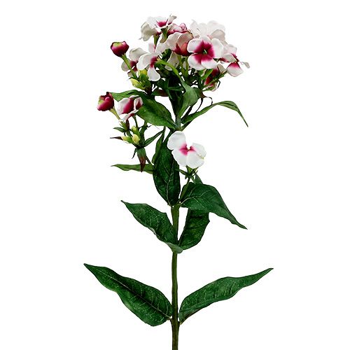 Floristik24 Liekkikukka valkoinen 72cm