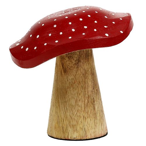 Floristik24 Perhohappo-sienisekoitus 9cm -10.5cm punainen, luonnollinen 8kpl