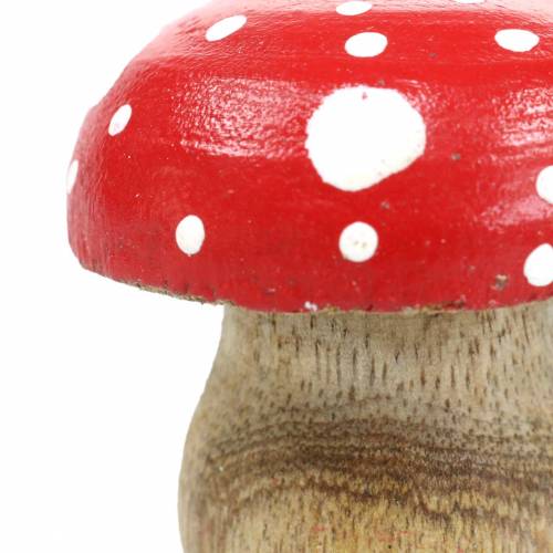 Floristik24 Koristeelliset myrkkytuolit puu Ø4.6–5cm K4.6–4.9cm 6kpl