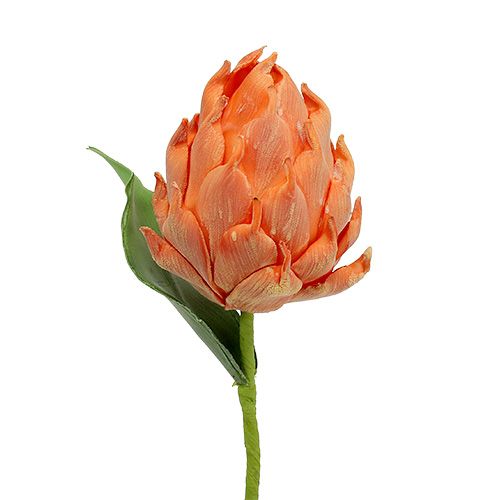 Vaahto-artisokka oranssi 14cm L28cm 1p